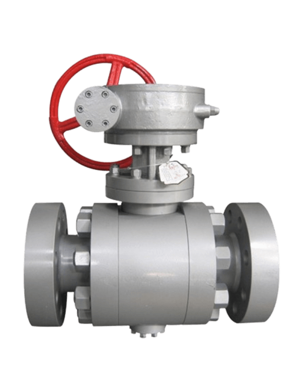 API 6D Valves