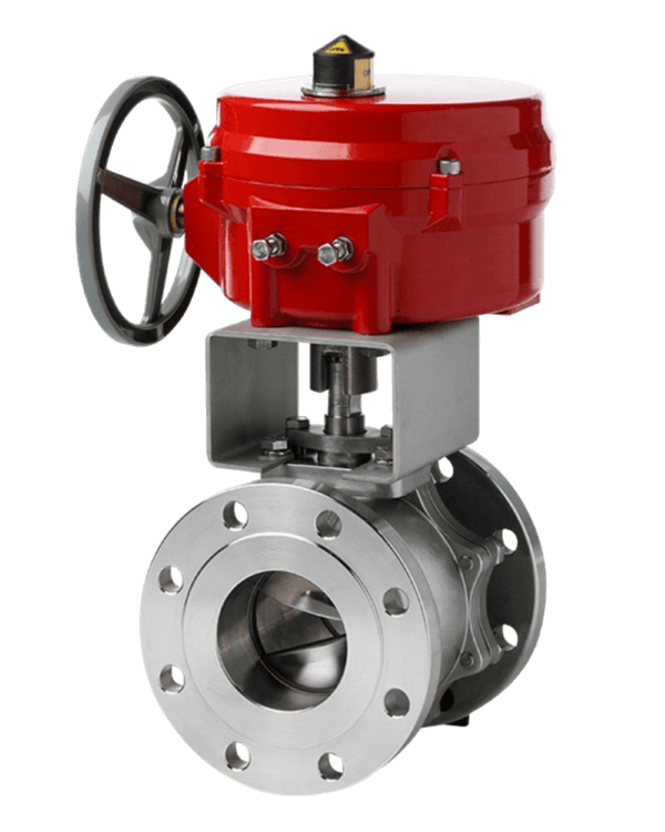 Severe Service Valves