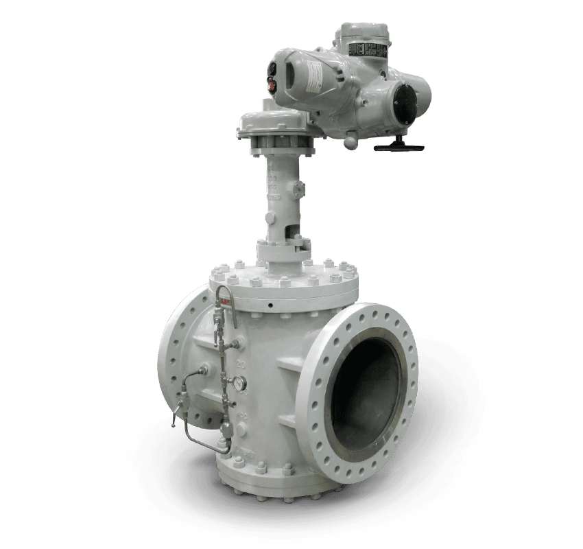 Double Block and Bleed Plug Valve
