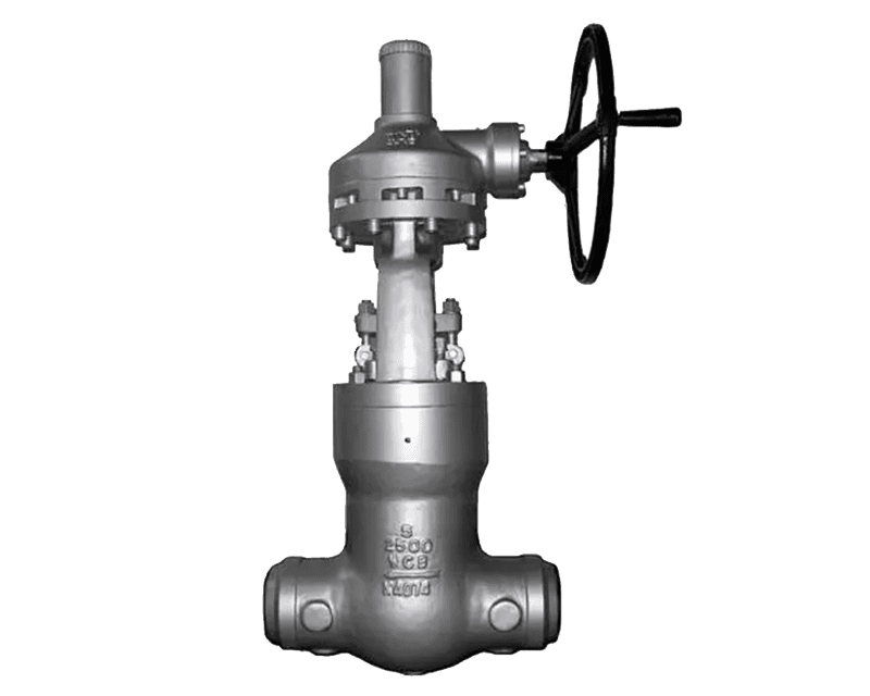 Pressure Seal Globe Valve
