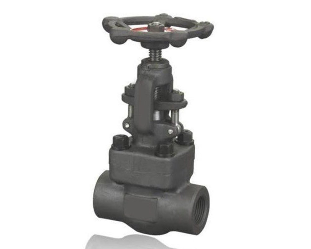 Forged Steel Globe Valve