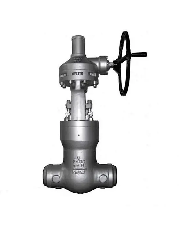 Pressure Seal Globe Valve