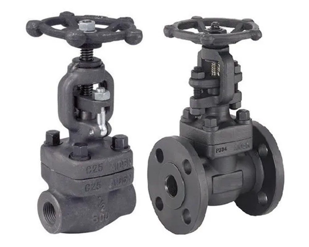 Forged Steel Gate Valve