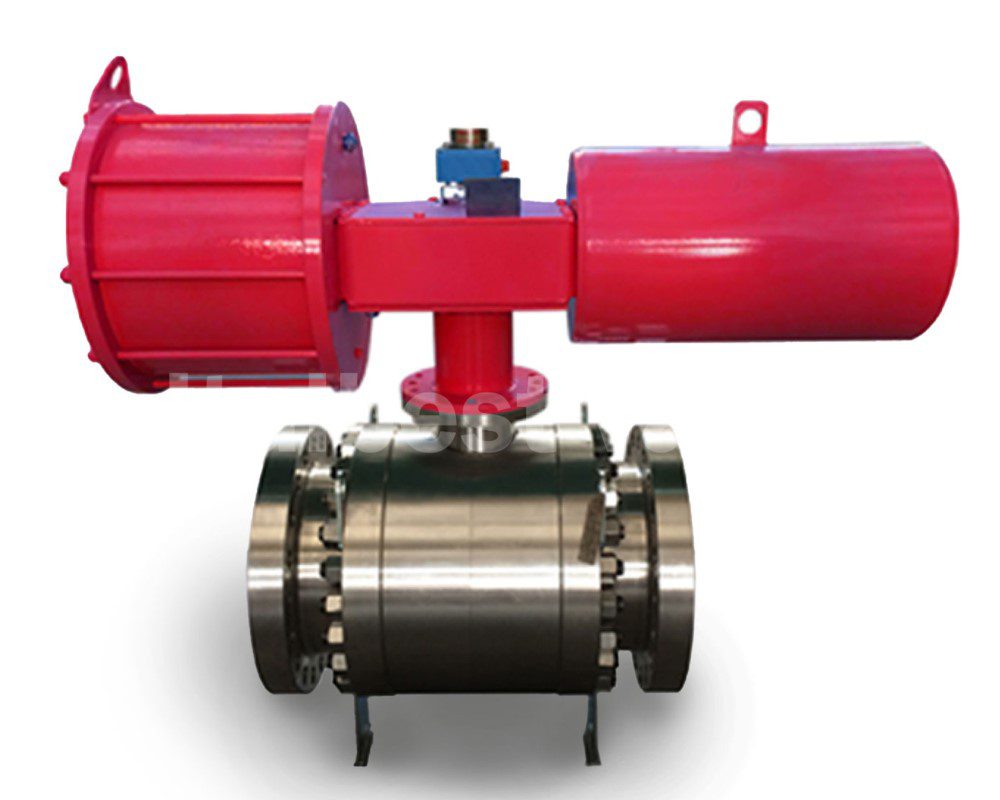 Hipps Valve